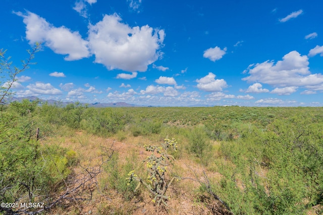 view of nature