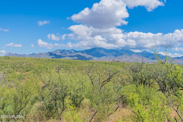 view of mountain feature