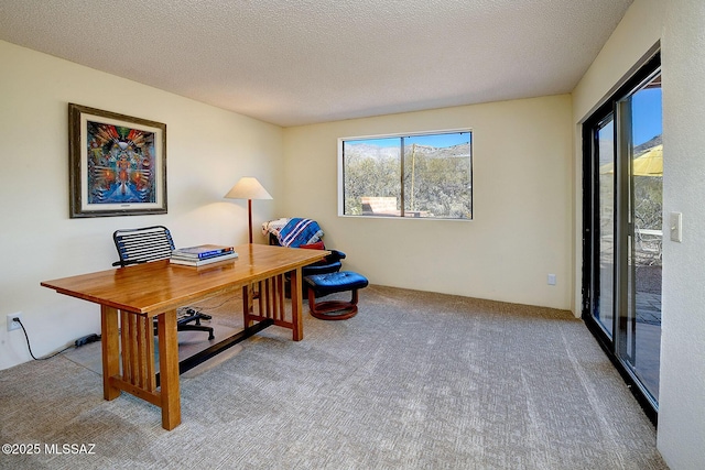 carpeted office space featuring a textured ceiling