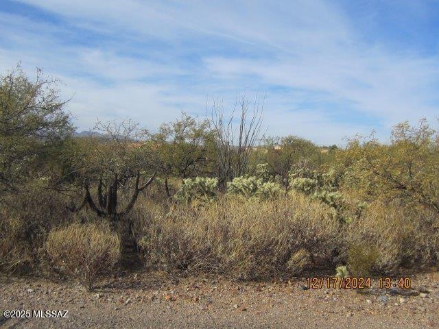 Listing photo 3 for 876 S Old Baldy Ct, Green Valley AZ 85614