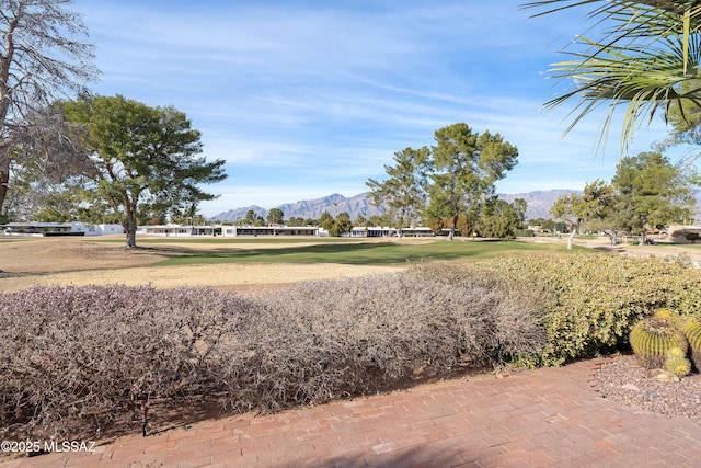 view of community featuring a mountain view and a lawn