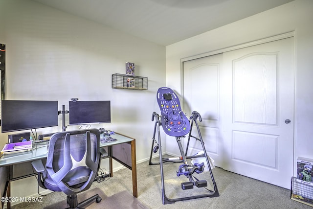 office space featuring carpet flooring