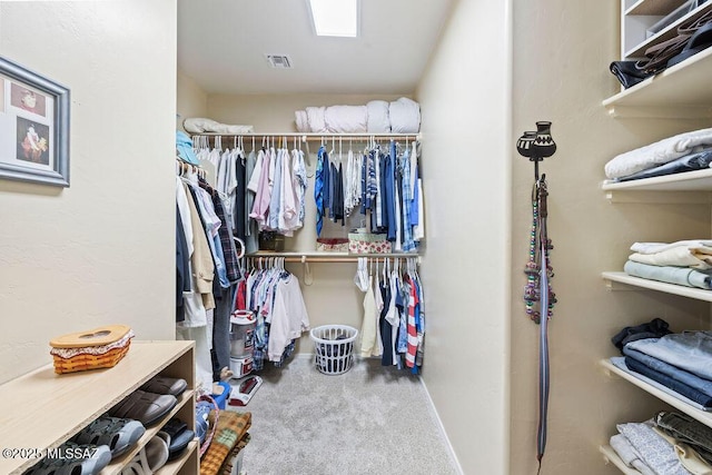 spacious closet with carpet