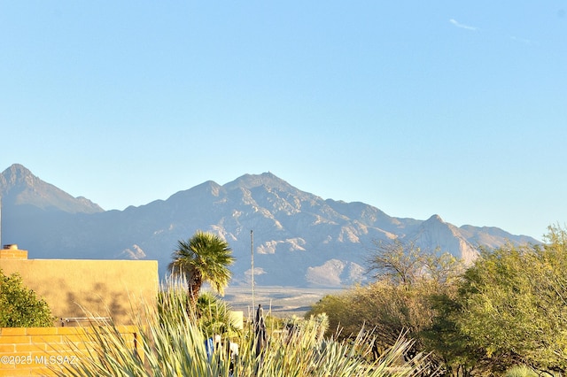 view of mountain feature