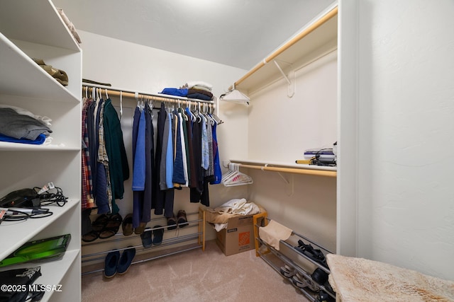 spacious closet with carpet flooring