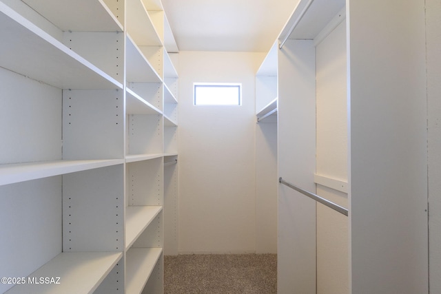 spacious closet featuring carpet flooring