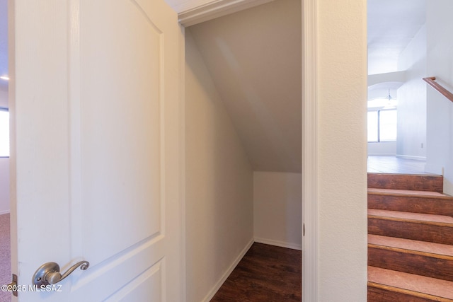 stairs with hardwood / wood-style flooring and ceiling fan