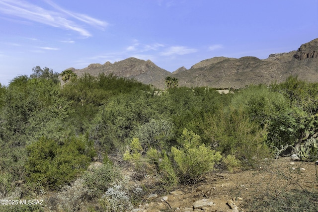 view of mountain feature