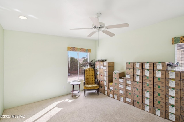 sitting room with ceiling fan and carpet