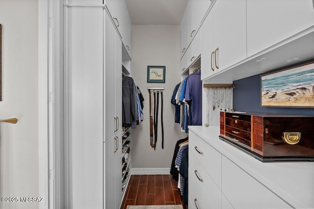 spacious closet featuring dark wood-type flooring