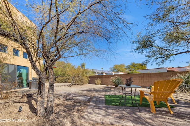 view of yard with a patio area