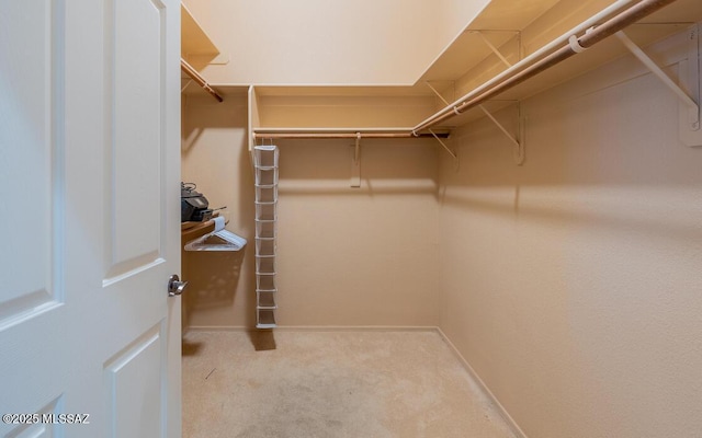 spacious closet with carpet flooring