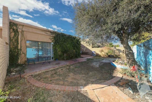 view of yard with a patio area