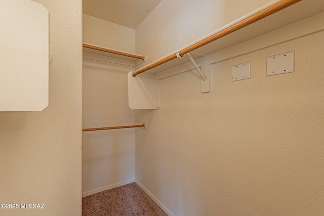 walk in closet featuring carpet floors