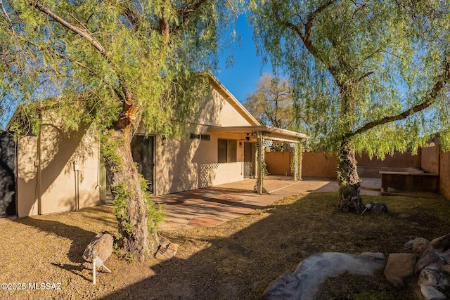 view of yard featuring a patio