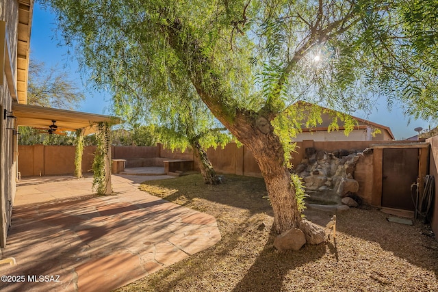 view of yard featuring a patio area and ceiling fan