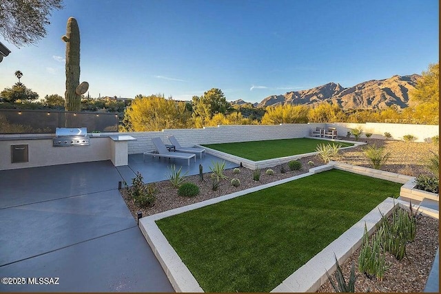 view of yard with exterior kitchen, a mountain view, and a patio