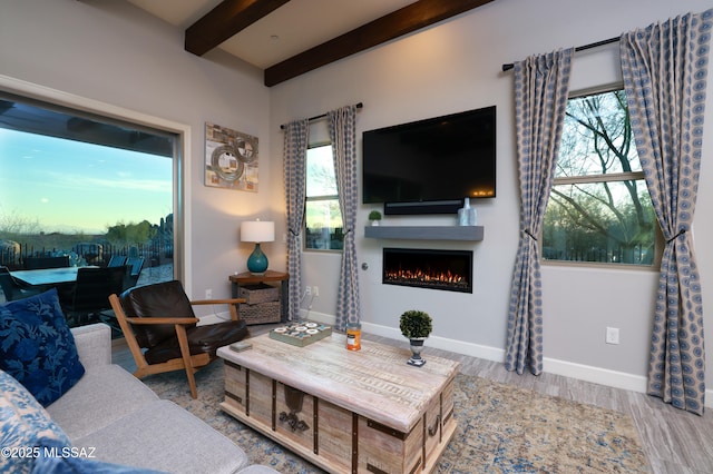 living room featuring plenty of natural light, beam ceiling, a fireplace, and wood-type flooring