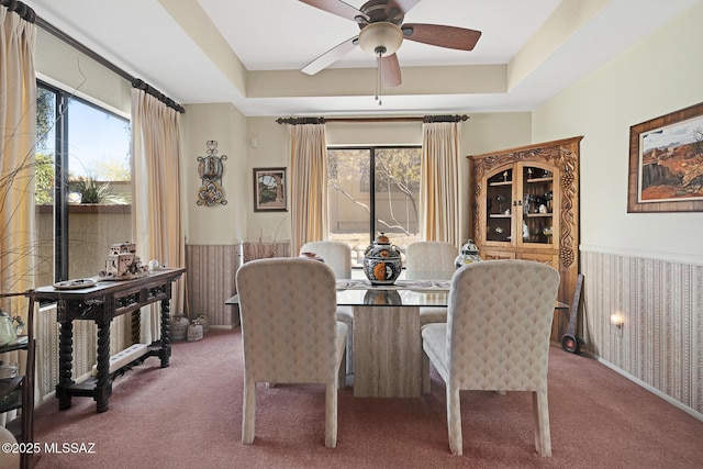 dining room with ceiling fan, a raised ceiling, and carpet floors