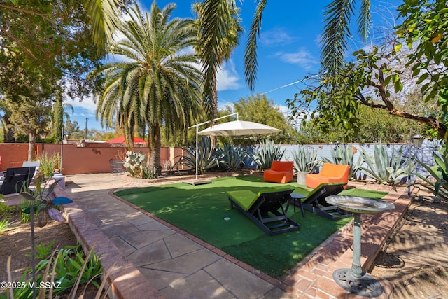 view of yard featuring a patio area