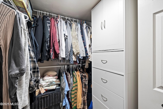 view of walk in closet