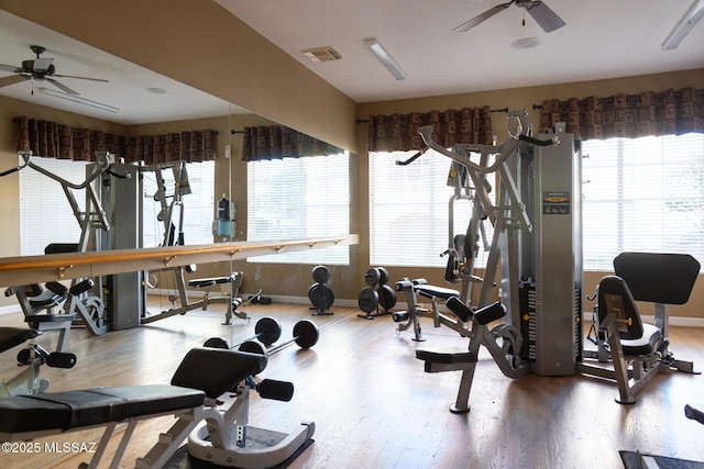 exercise room with a healthy amount of sunlight, hardwood / wood-style flooring, and ceiling fan