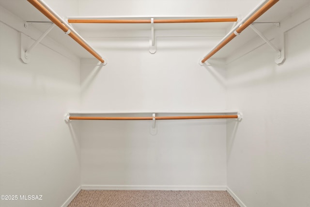 spacious closet with light carpet