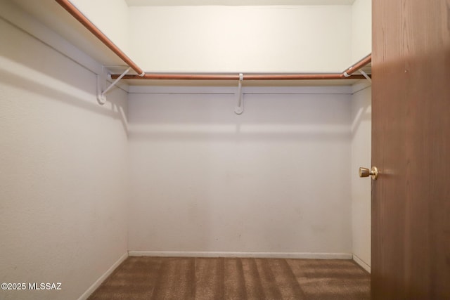 walk in closet with dark carpet