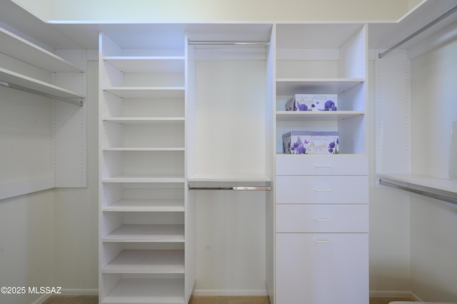 view of spacious closet