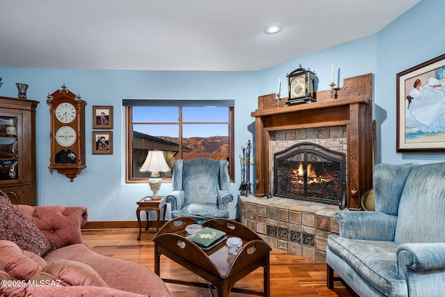 living room with wood-type flooring and a fireplace