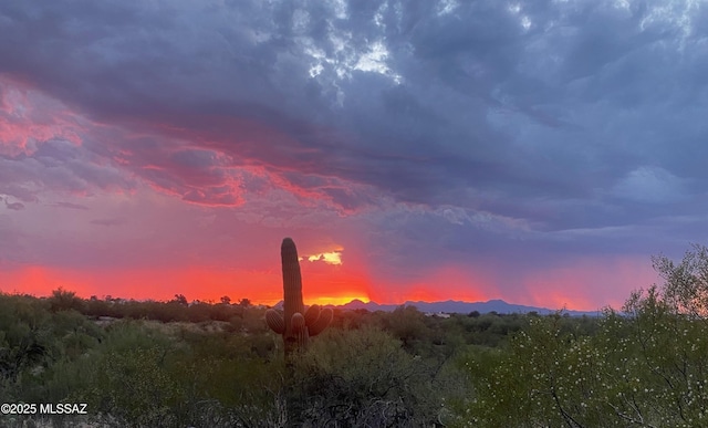 view of nature at dusk