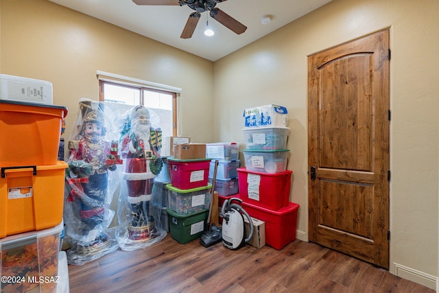 storage room featuring ceiling fan