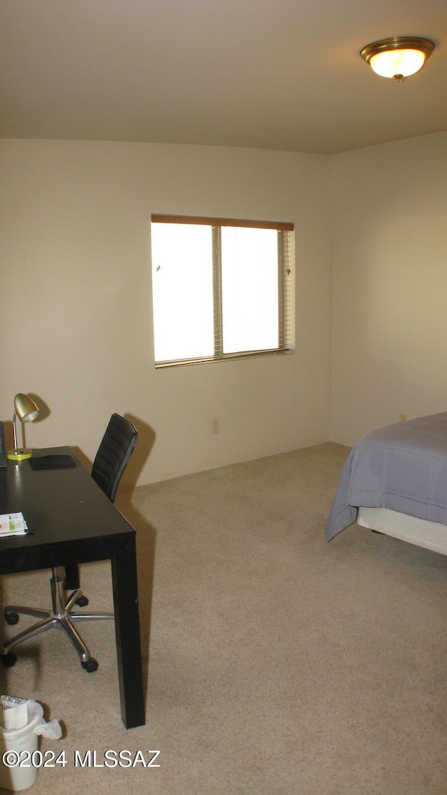 bedroom with carpet flooring