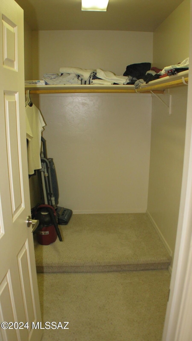 spacious closet with carpet