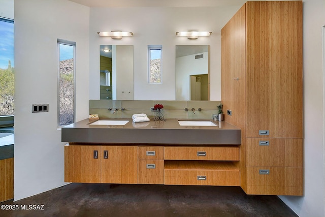 bathroom with a healthy amount of sunlight, double vanity, and a sink