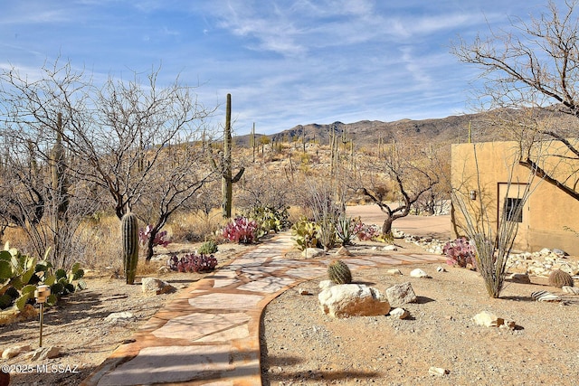 view of yard featuring a mountain view