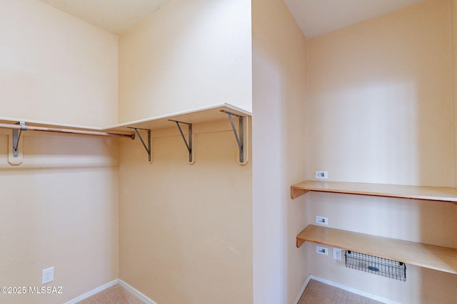 spacious closet featuring carpet