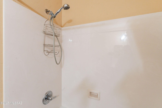 room details with walk in shower