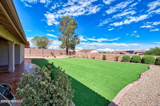 view of yard featuring a patio area