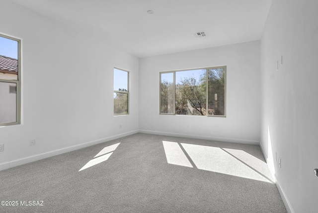 empty room with carpet and plenty of natural light