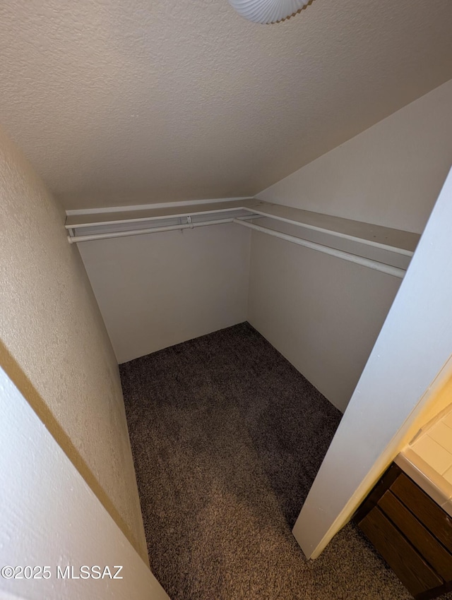 walk in closet with carpet