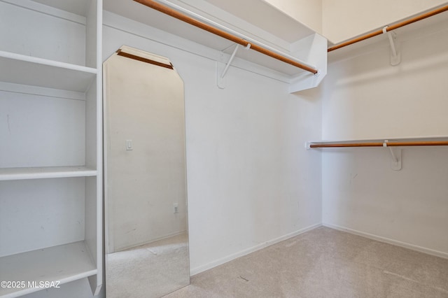 spacious closet with light colored carpet