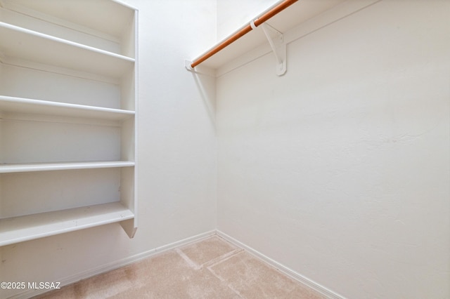 walk in closet with carpet