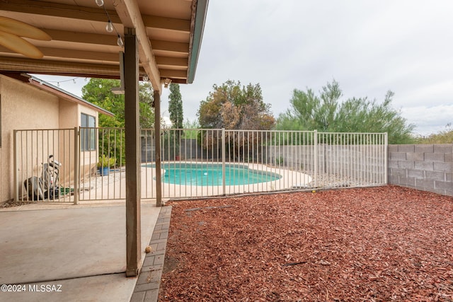 view of pool with a patio