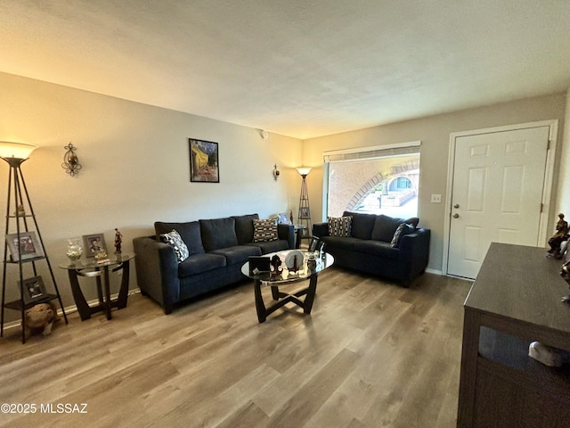 living room featuring wood-type flooring