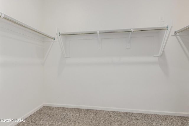 spacious closet with carpet flooring