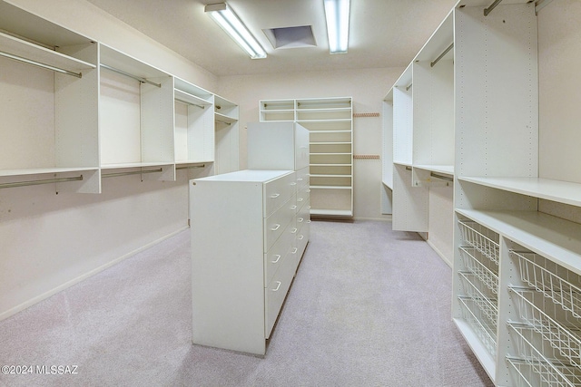 walk in closet with light colored carpet