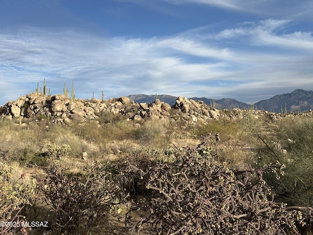 Listing photo 3 for 1533 Tortolita Mountain Cir Unit 286, Oro Valley AZ 85755