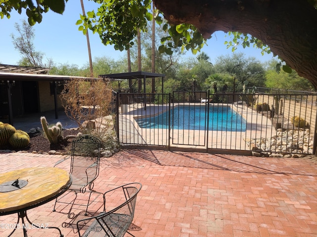 view of pool featuring a patio area