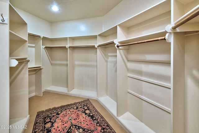 view of spacious closet